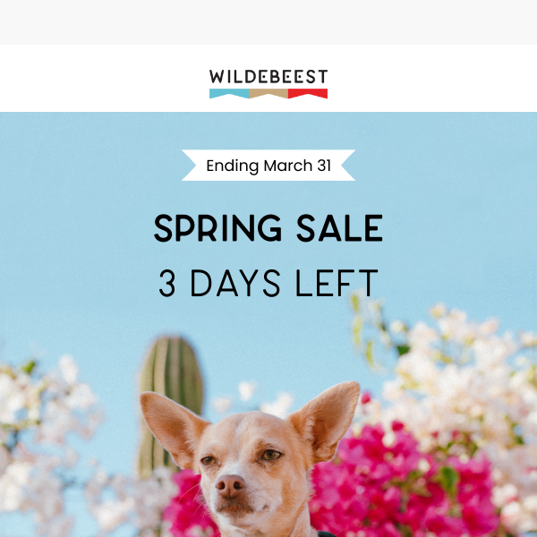 Spring Sale Ends Soon