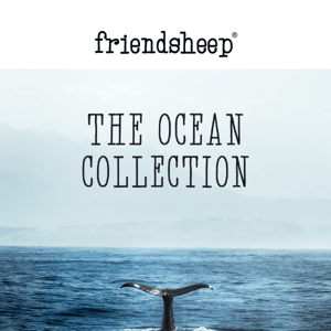 Explore our Ocean Collection 🐳