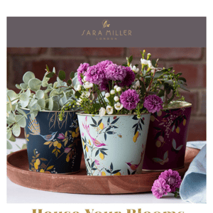 BACK IN STOCK: Plant Pots 💐