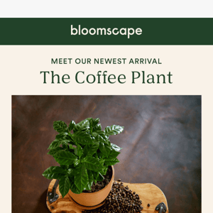 ☕ Perk up your plant collection ☕