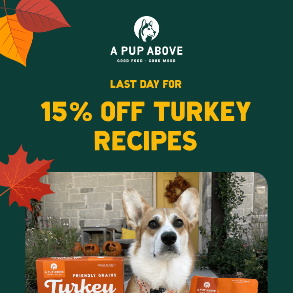 Last chance for 15% off Turkey!