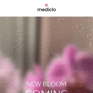 Get ready for new bloom
