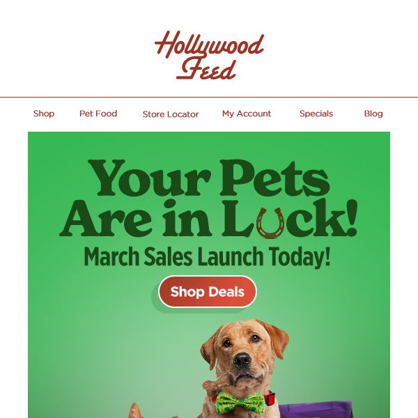 Hey Hollywood Feed! March Sales Launch Today!🍀