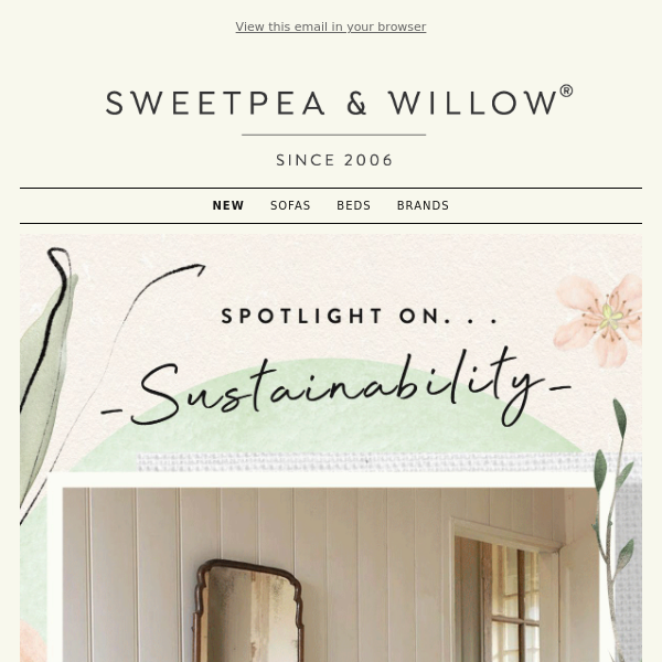 Spotlight on… Sustainability 🌿