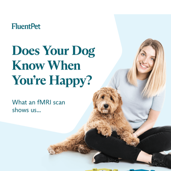 Does Your Dog Know When You Are Happy?