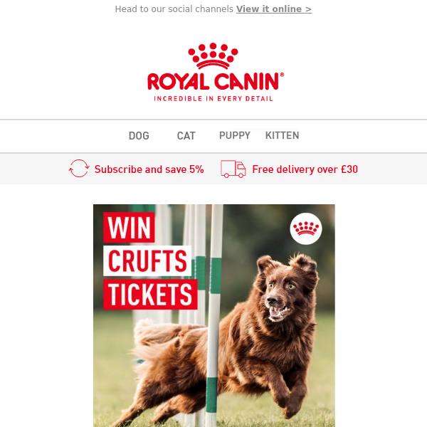 Win 2 Tickets to Crufts 🎟🐶