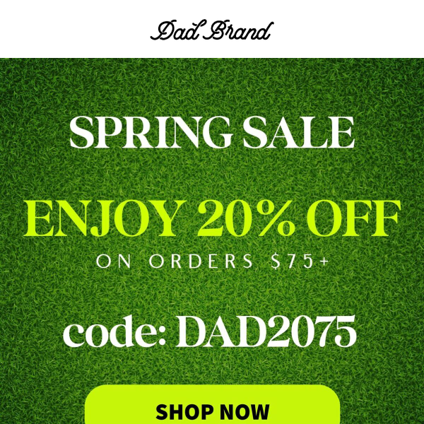 Spring Sale - 20% off