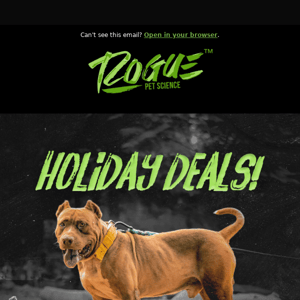 Holiday Deals: 50% OFF! 🔥