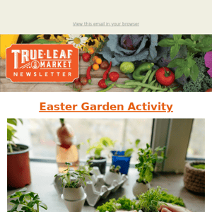Hop Into The Garden on Easter Weekend 🐰 | TLM Newsletter
