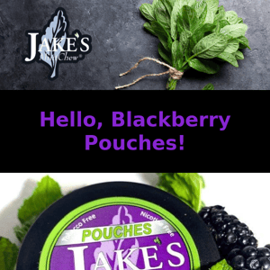 Blackberry Pouches join the NEW Summer Flavors Pouches Frenzy