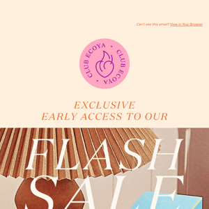 Exclusive access: 30% off flash sale, today only!
