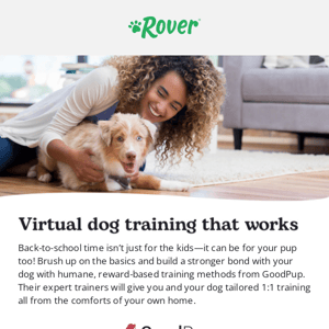 Back-to-school for training your dog with GoodPup
