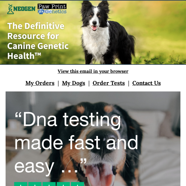 Easy & Simple DNA Testing🐾