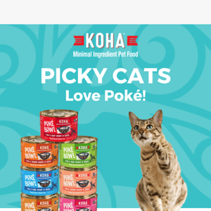 20% Off Tuna Poké Bowl Cans for Cats