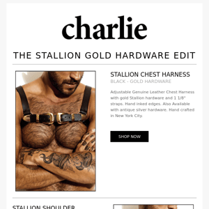 The Stallion Gold Hardware Edit.