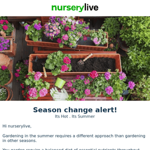 🌻  Unhealthy & Non Flowering Plants? Its summer, Try thisNurserylive