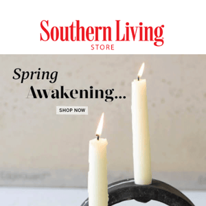 Spring Awakening Home & Decor Ideas