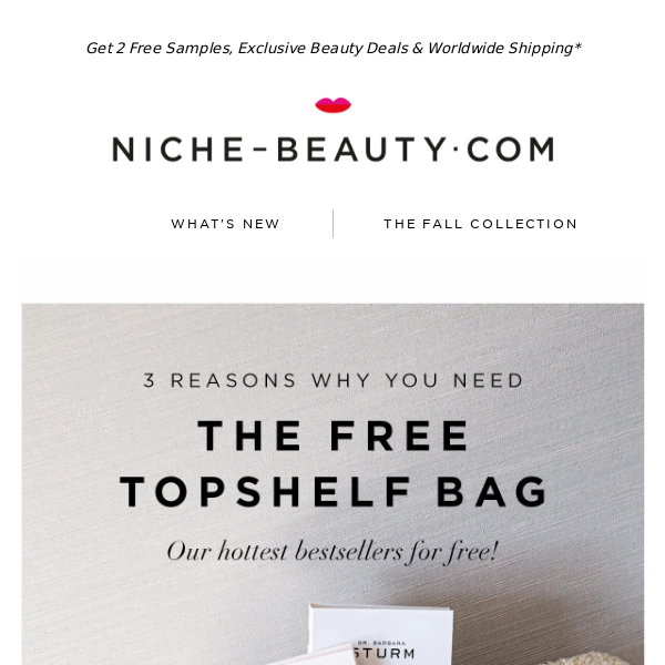 3 reasons why you need the Topshelf Bag today!