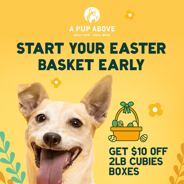 Get ready for Easter with $10 off Cubies!