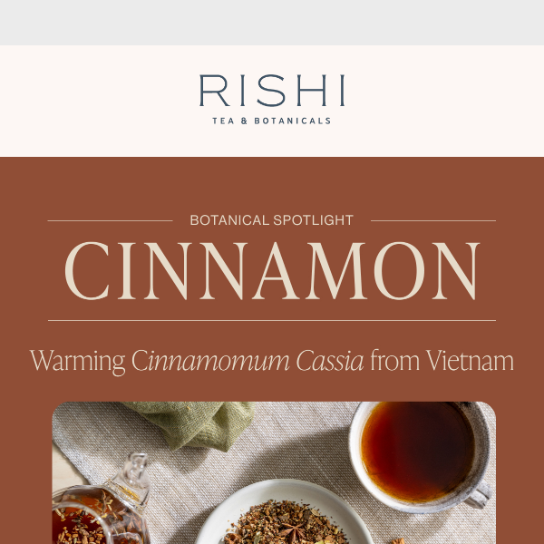 Botanical Spotlight: Vietnamese Cinnamon