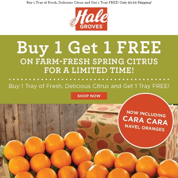 🍊 Buy 1 Tray Get 1 FREE on Farm-Fresh Spring Citrus for a Limited Time! 💐