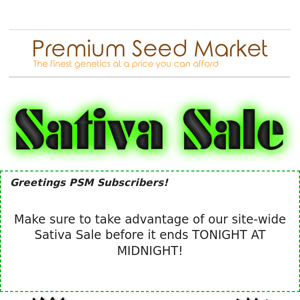 🌱Sativa Seed Sale!🌱 ENDS AT MIDNIGHT