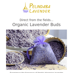 From the fields - Lavender Buds