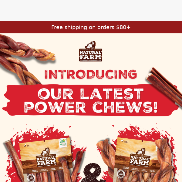 Discover Two New Power Bully Treats Today!