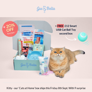 😻 9 Surprises for You and Kitty