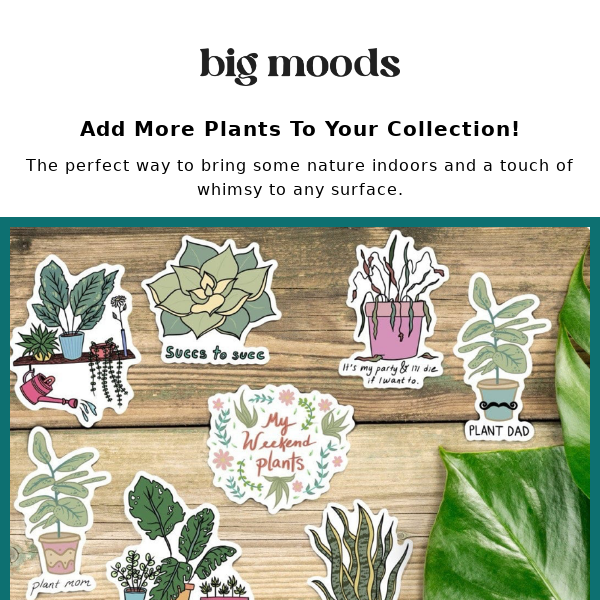 All Plant Lovers Unite! 🍃