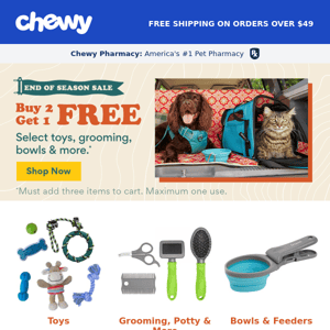 End-of-Season Camp Chewy Deals Are On!