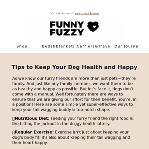 Keep Your Dog Health and Happy🐶🐕