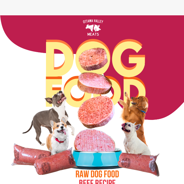 FREE Raw Dog Food!🐶