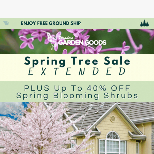 Spring Blooming Trees Sale Extended!🌸 Plus Bonus Savings!