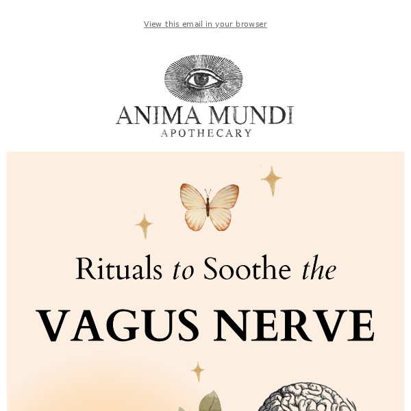 💎 8 Rituals to Soothe the Vagus Nerve