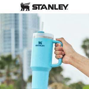Stanley Quencher H2.0 Tumbler 2 Pack - 20 OZ - Kelly Green Watercolor Blue  for sale online