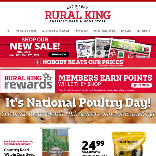 National Poultry Day! We Have Chicks Year-Round In-Store & All the Essentials to Take Care of Them!