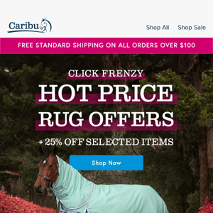 Hot Price Rug Offers!