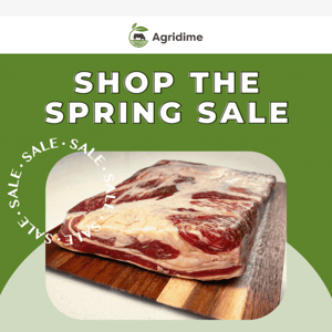 The Spring Sale