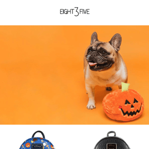 Halloween Favorites |  In Stock & Selling Fast