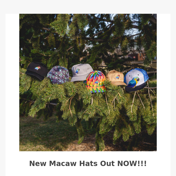New Macaw Hats out Now!!!