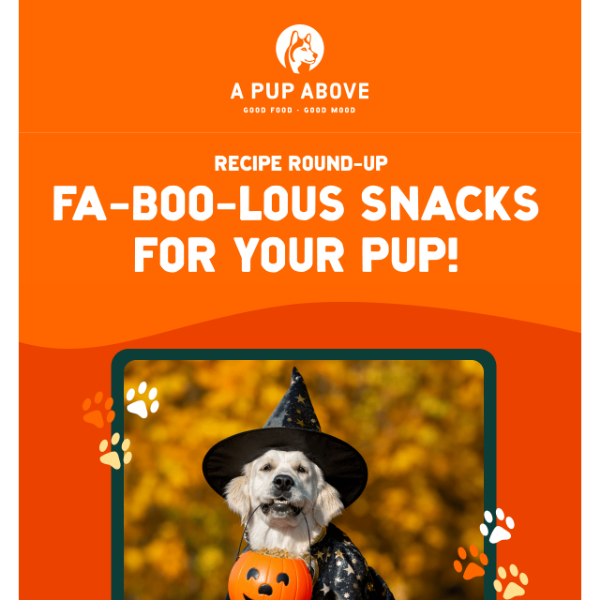 Be your pup’s Howl-oween hero