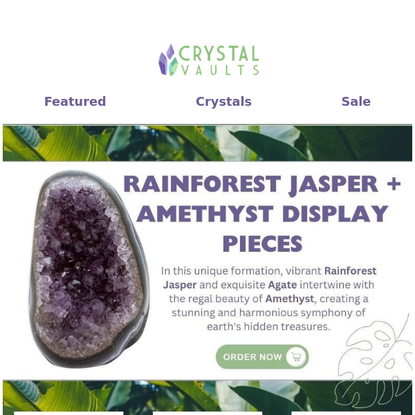 Wildly Beautiful: Rainforest Jasper and Amethyst Wonders! 🌴