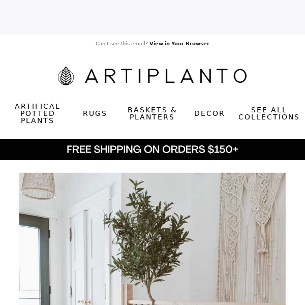 🌿Interior Designers Love These Best Sellers Artiplanto