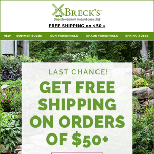 Free Shipping Ends in Hours, so Order Now!