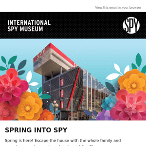 Spring into SPY!