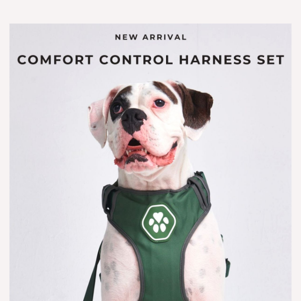 NEW! 🚨 Comfort Control Harness Collection