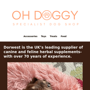 We're now stocking Dorwest  🐶