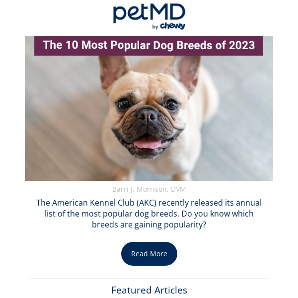 The 10 Most Popular Dog Breeds of 2023
