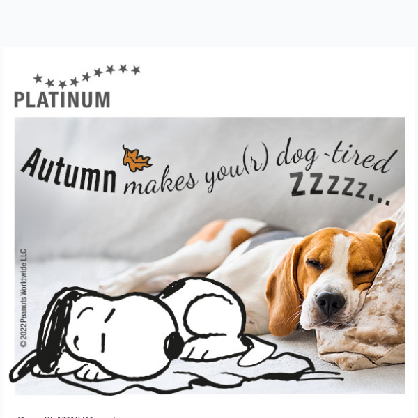 Dog tired! Don't miss out on our PLATINUM newsletter